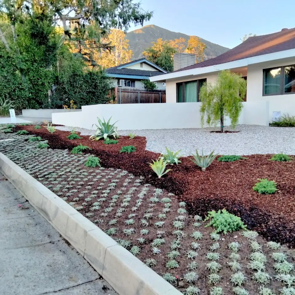 A finished front yard by Millan's landscaping — bands of dark and red bark mulch planted with succulents and agave, against the San Gabriel Mountains