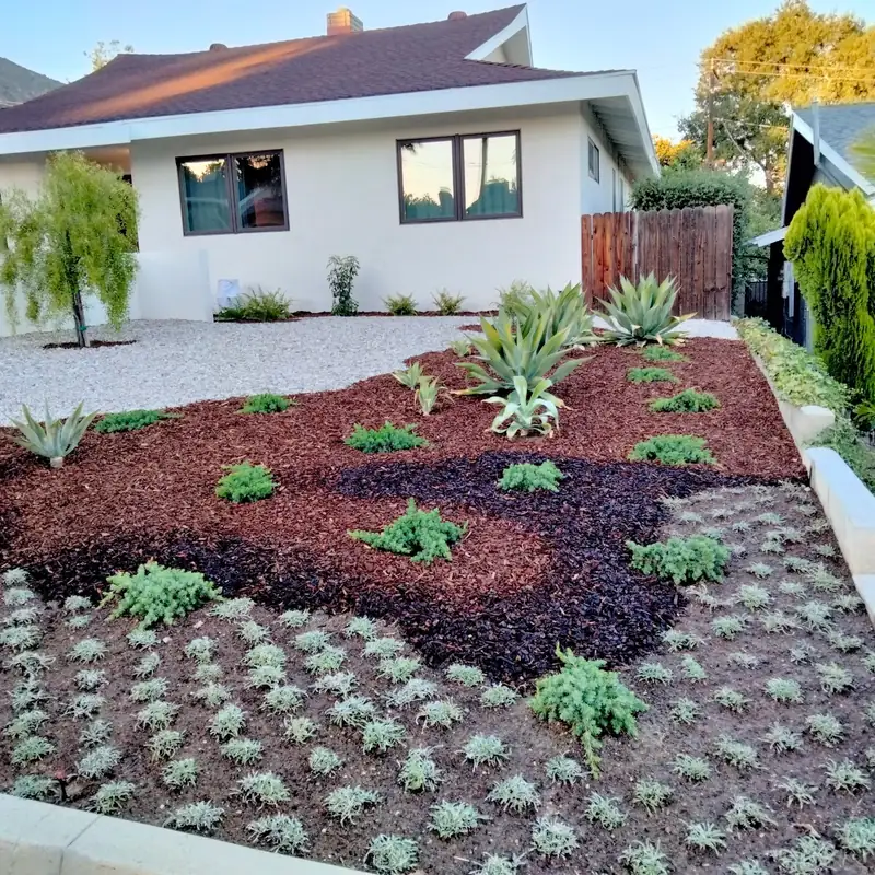 A completed front yard in bands of dark and red bark mulch, planted with succulents and agave against a white stucco house